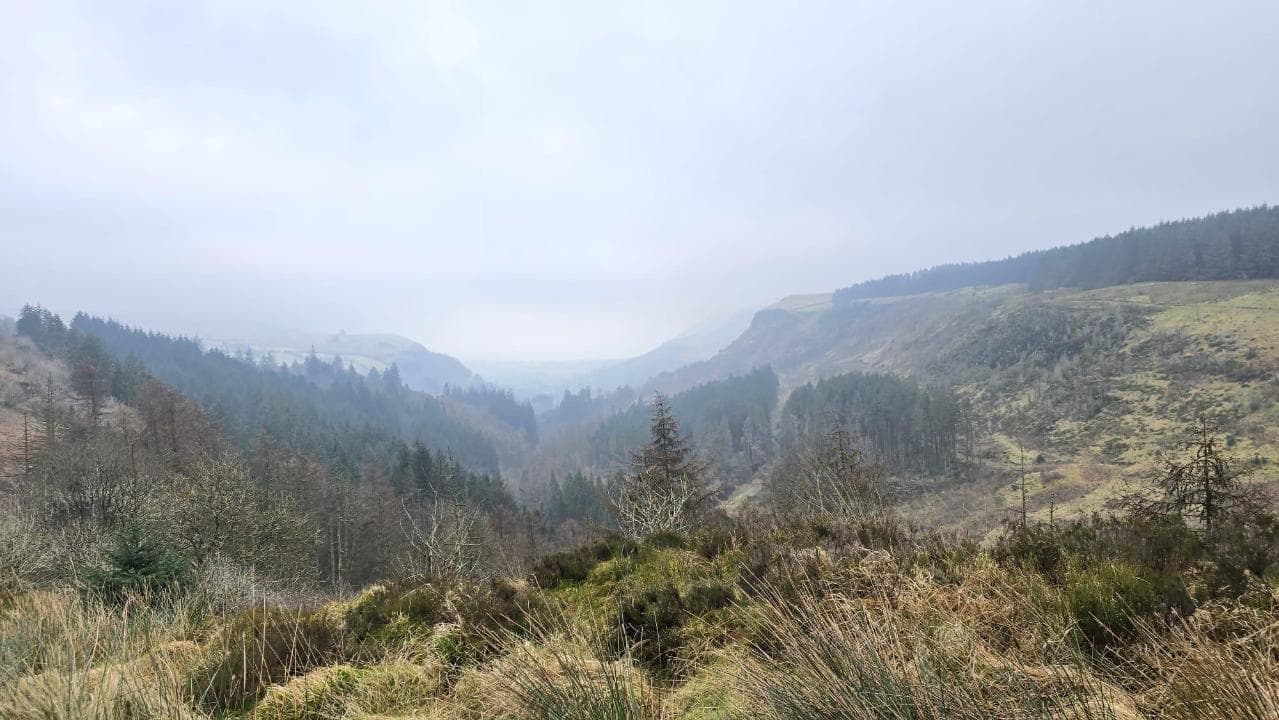 Sunrise at The Dark Hedges, Ballymoney, County Antrim, Northern by Joe  Daniel Price on 500px ), image size:1279x720