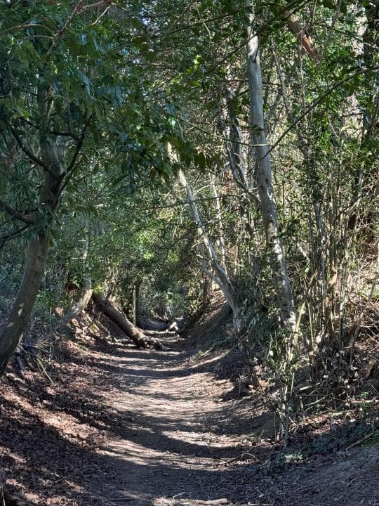 Best routes Bolney by OS Maps, the official app from Ordnance Survey