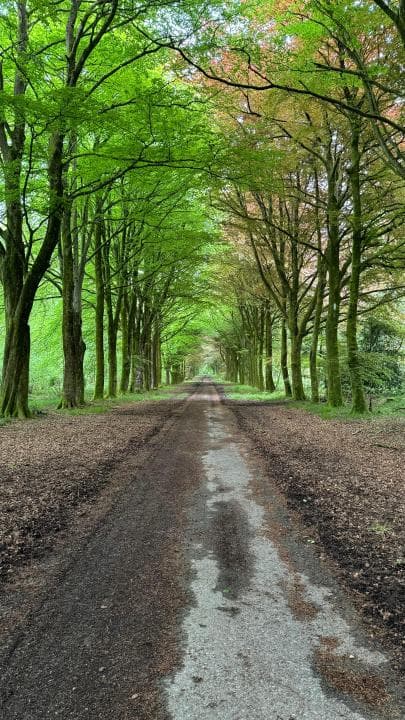 Best routes Wilton by OS Maps, the official app from Ordnance Survey