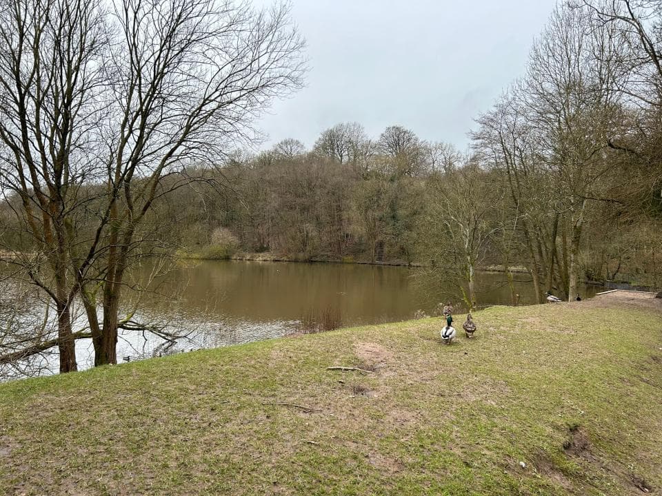 Best routes Cumberledge Pool by OS Maps, the official app from Ordnance ...