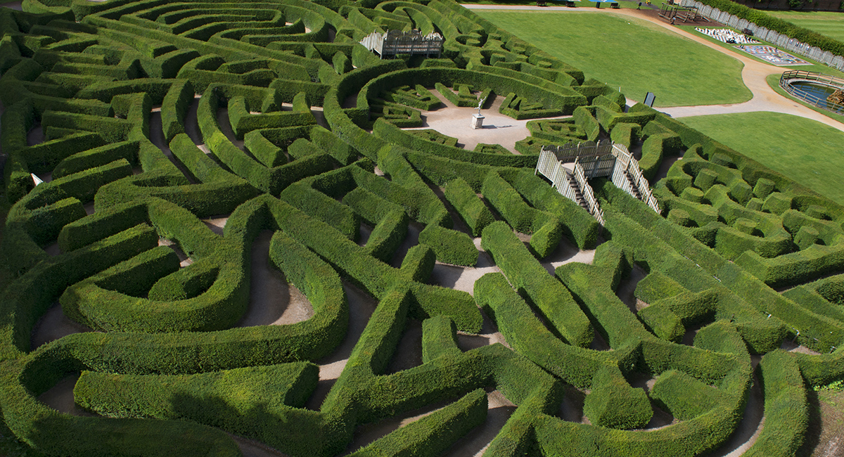 Maze at Blenheim Palace