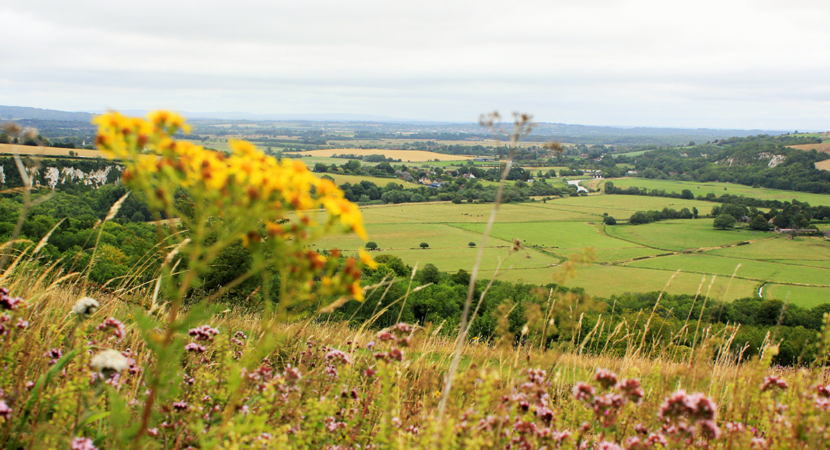 Arundel and West Stoke - Image: SDNPA
