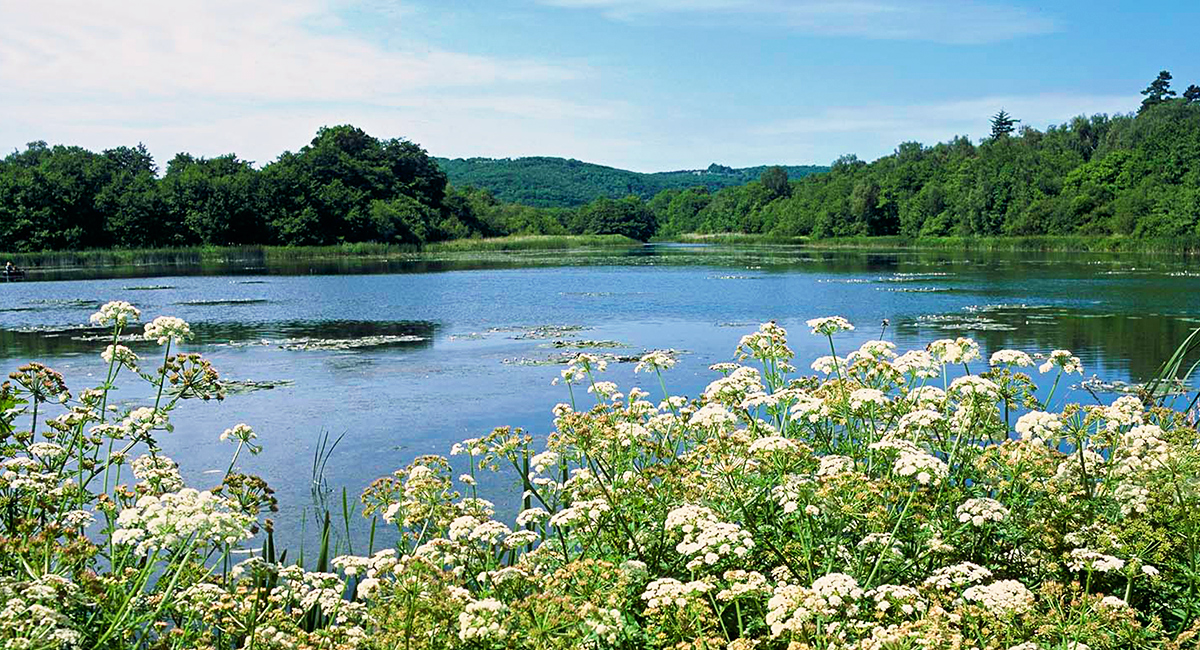 Burton Mill - Image: SDNPA