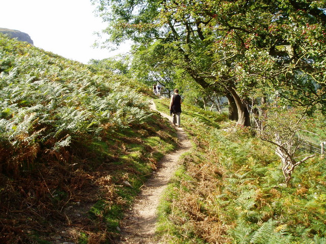 Image: Eirian Evans [CC BY-SA 2.0 (http://creativecommons.org/licenses/by-sa/2.0)], via Wikimedia Commons