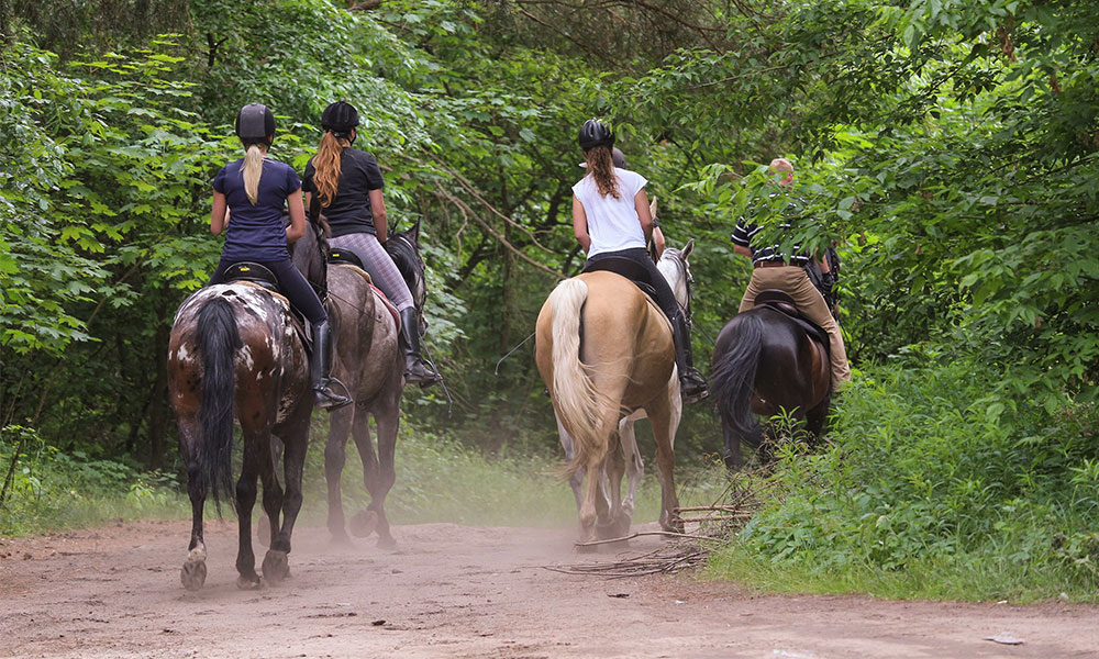 Horse riding group outside