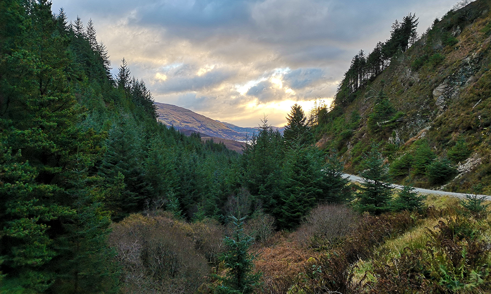 Carding Mill Valley