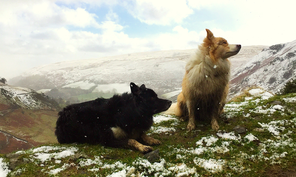 Glen Righ Round circular dog walk&nbsp;