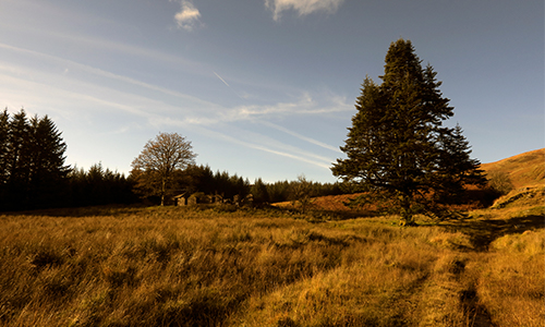 Carron Bothy Walk