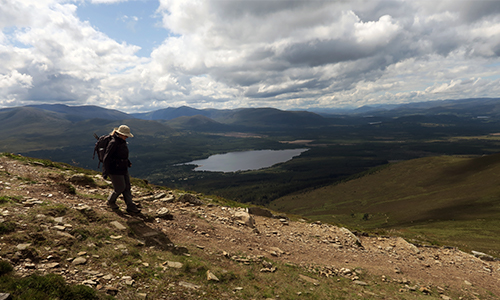 Meall a' Bhuachaille
