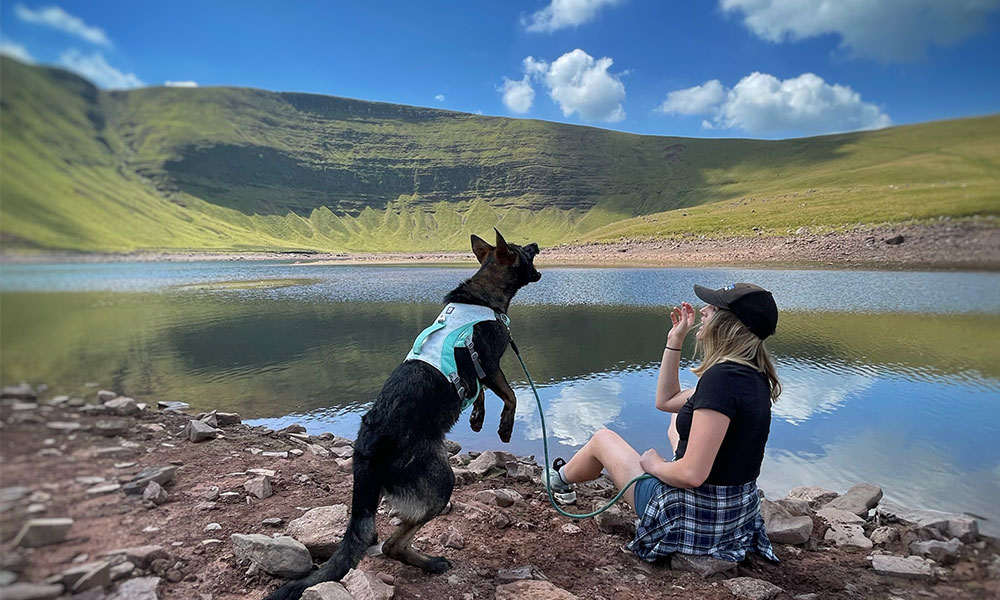 Ruffwear dog harness