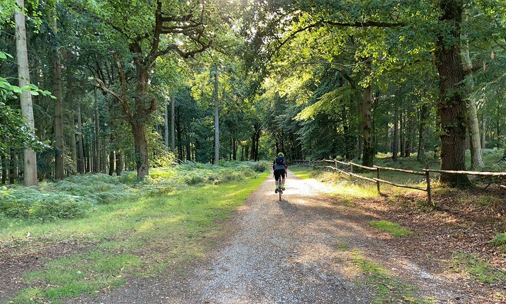 Gravel riding new forest&nbsp;