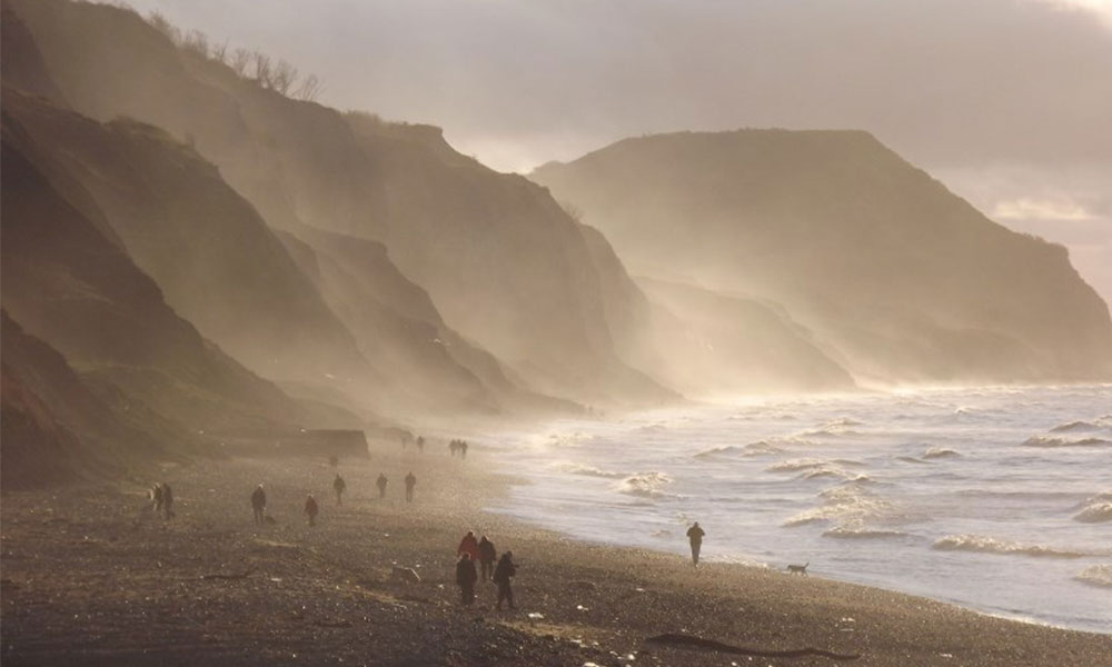 Fossil hunting in the UK