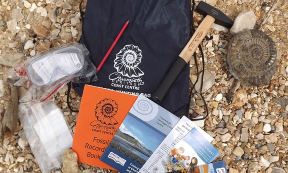 Fossil hunting kits&nbsp;