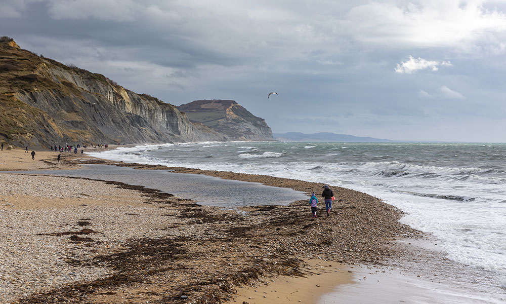 fossil hunting Dorset&nbsp;