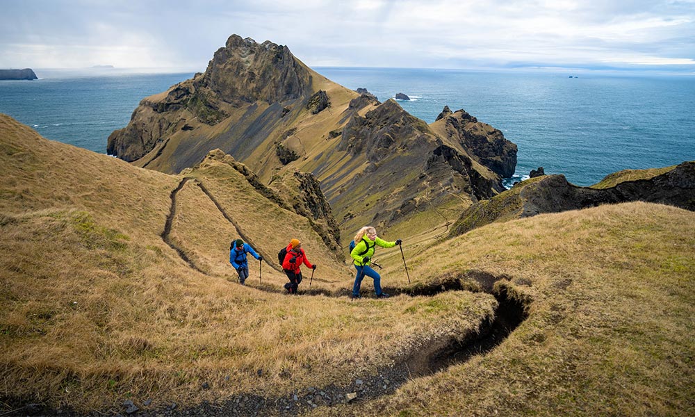 Walking poles Black Diamond&nbsp;