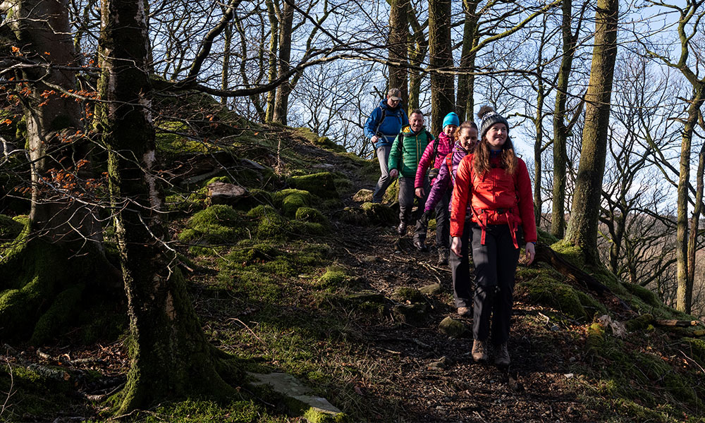 walking socks hikers 