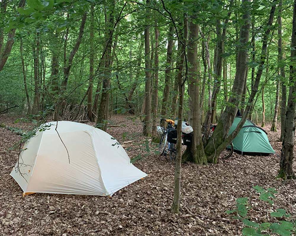 Wild camping bikes in woods