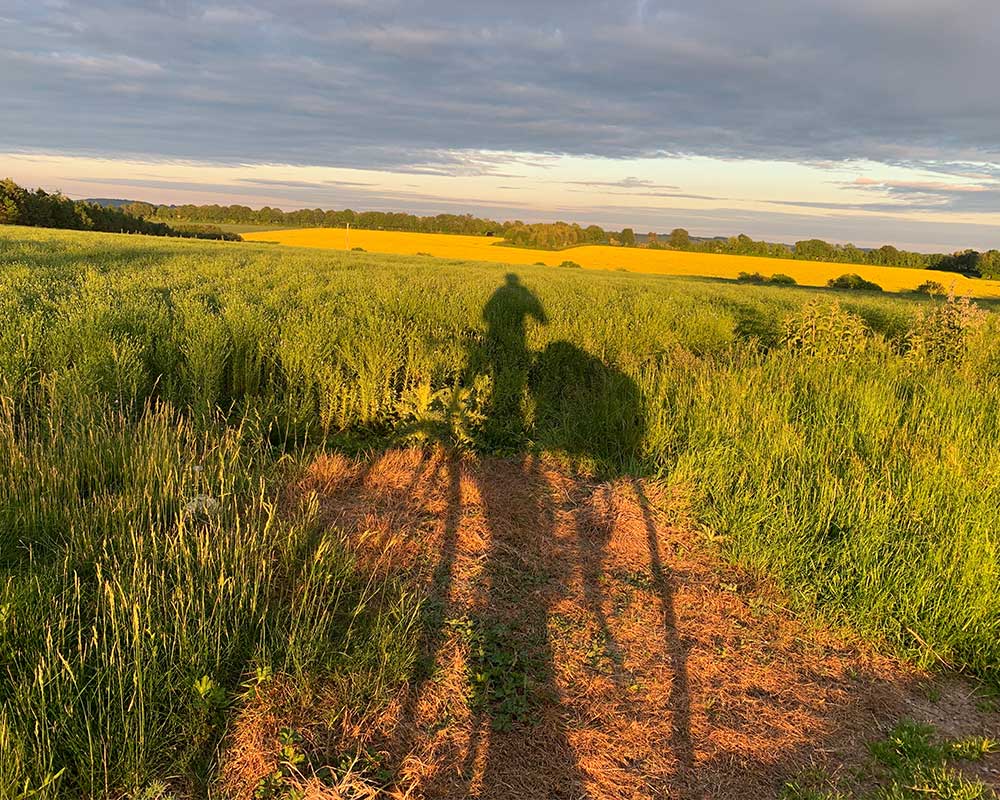 Beautiful views in Wiltshire