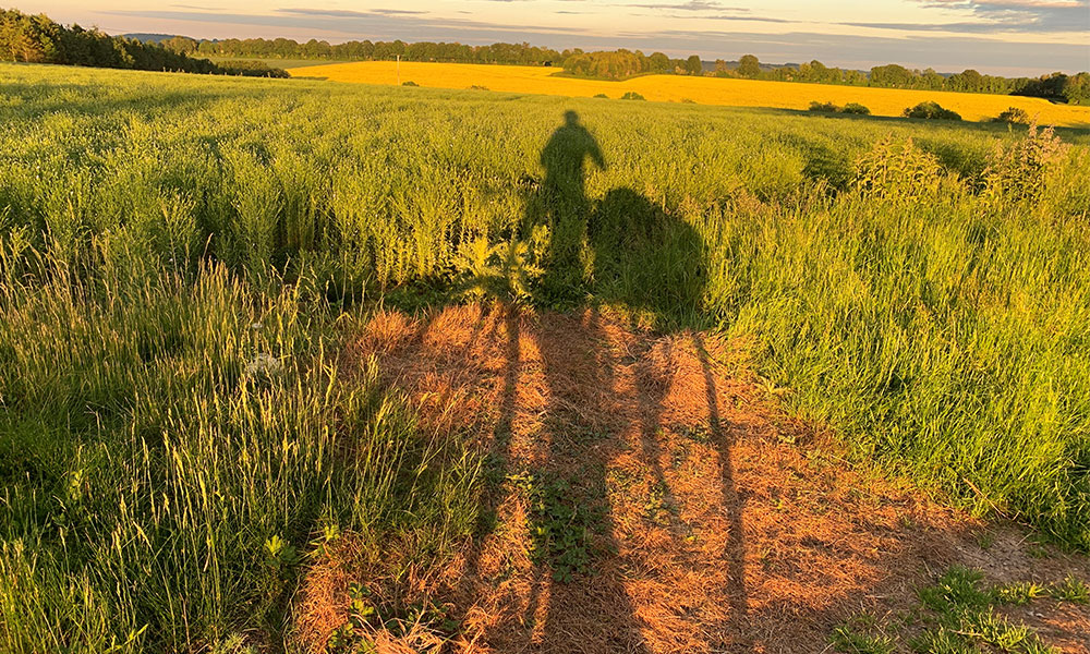 &nbsp;King Alfred's Way