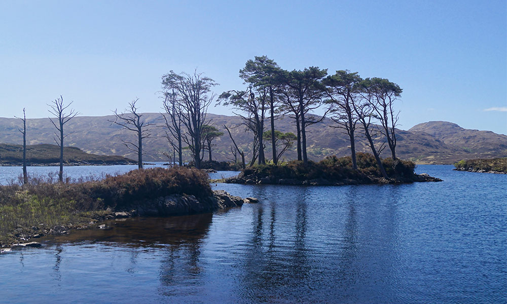 Loch Assynt