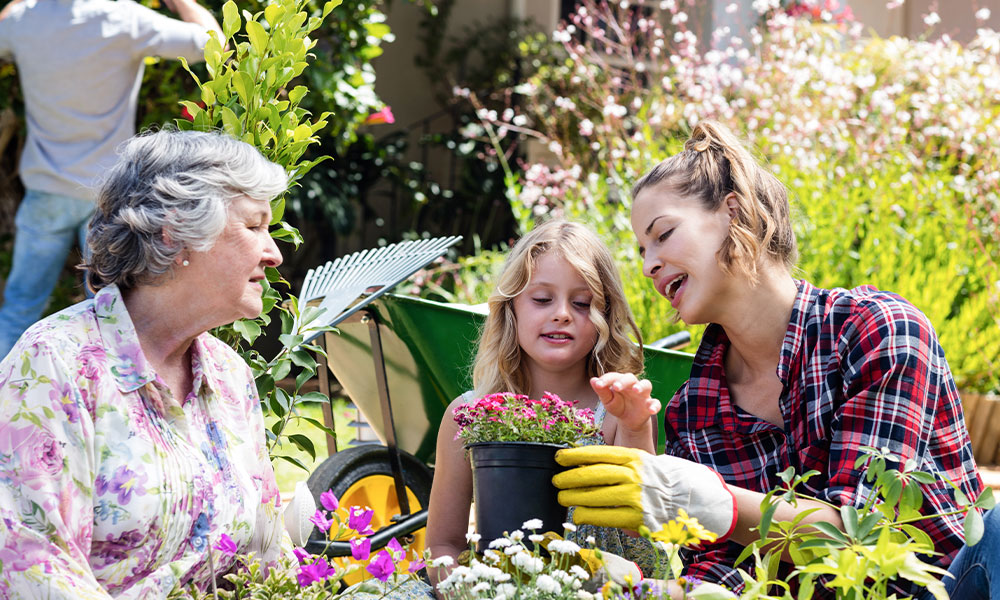garden elderly help