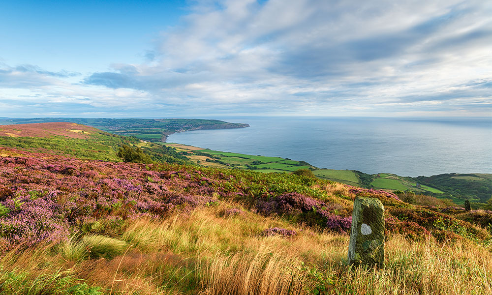 North York Moors National Park