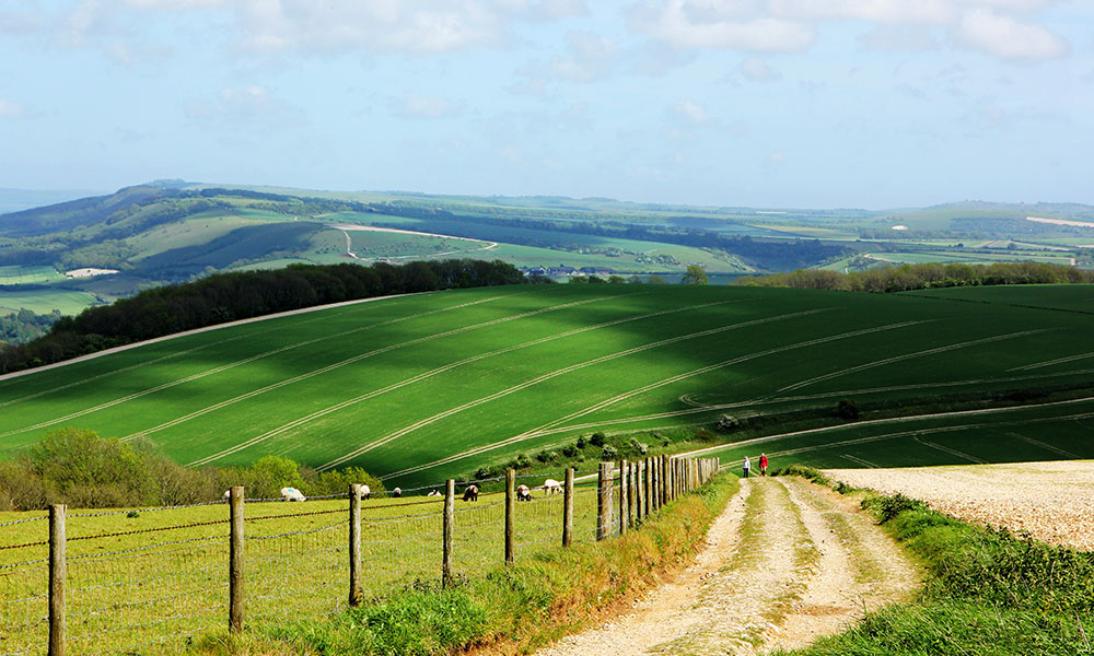 South Downs National Park