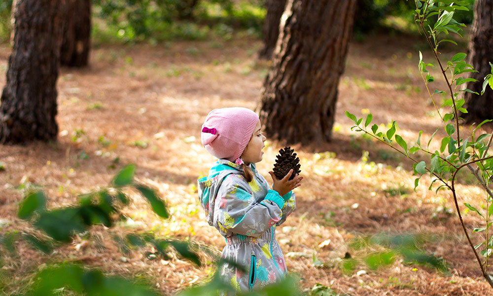 pine cone girl&nbsp;