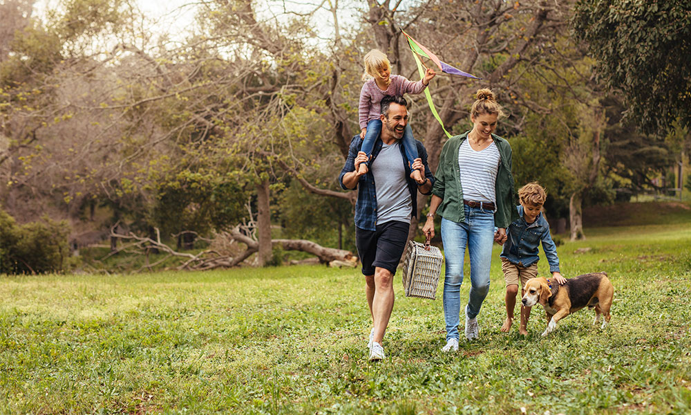 family walking picnic&nbsp;