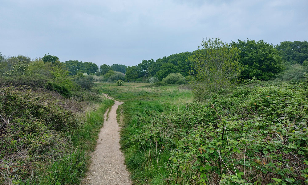 Peartree Green walk