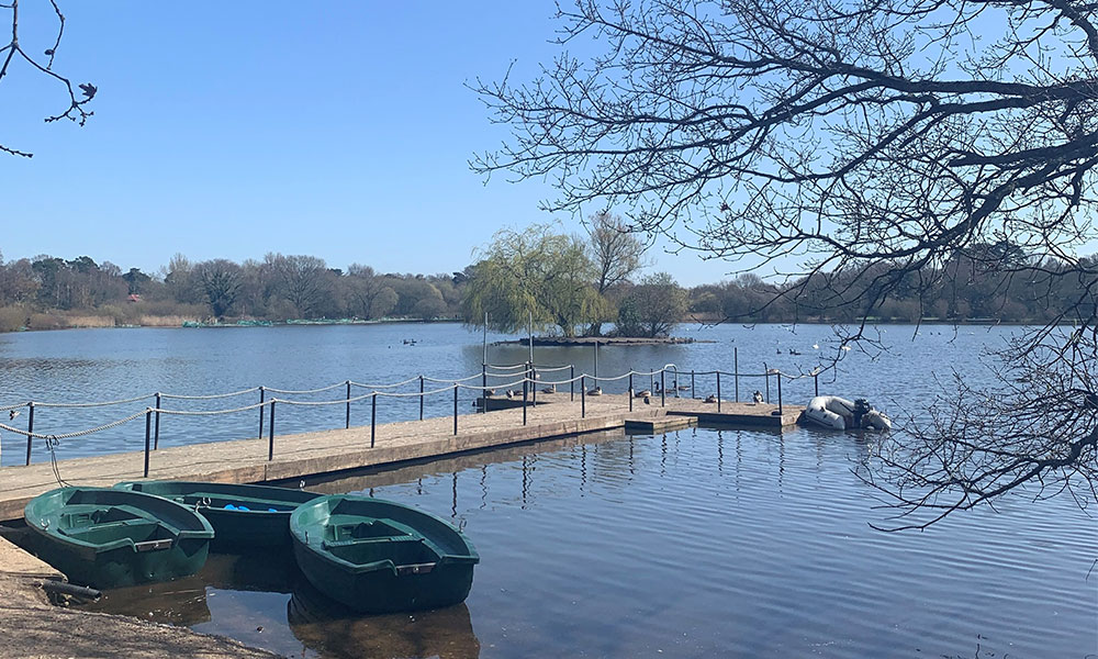 Petersfield Heath Pond