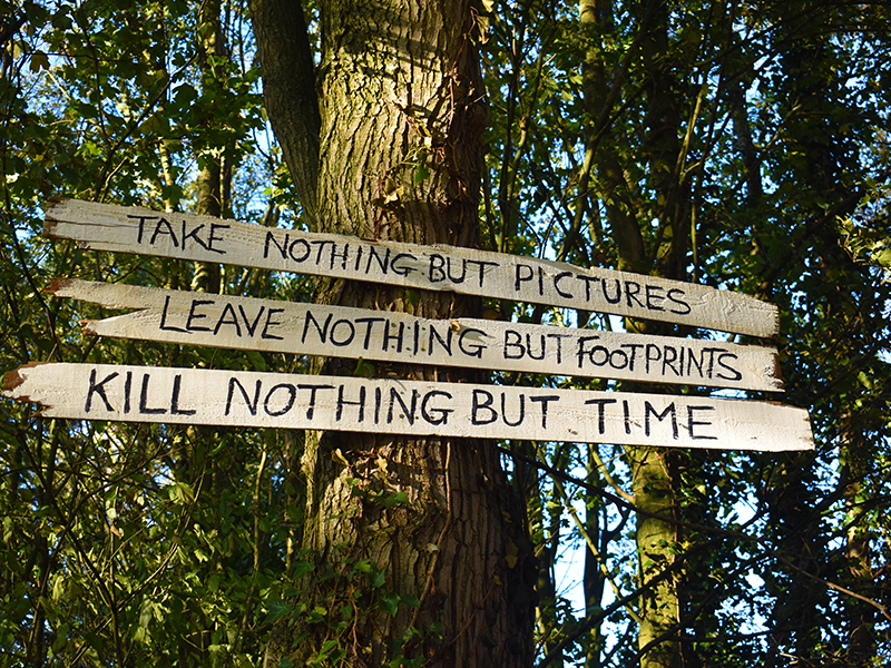 walks to keep your feet dry