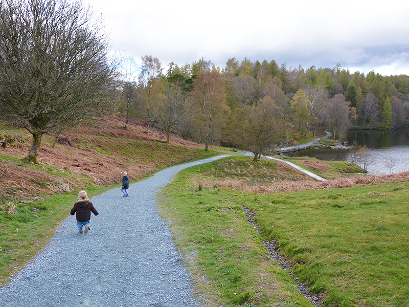Tarn Hows walk