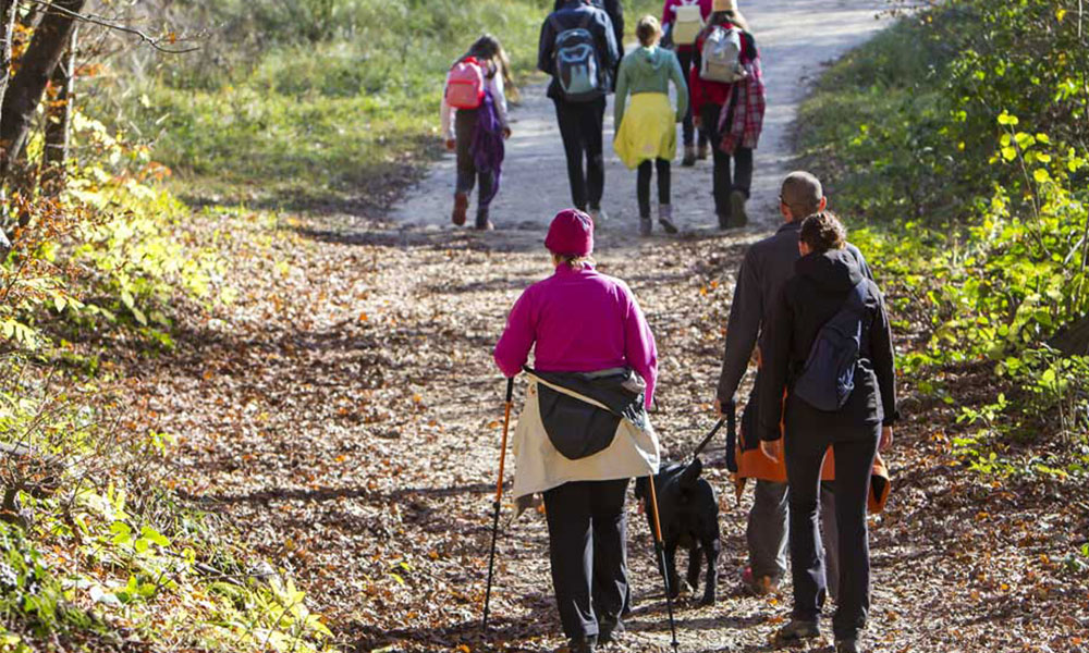 walk 1000 miles together