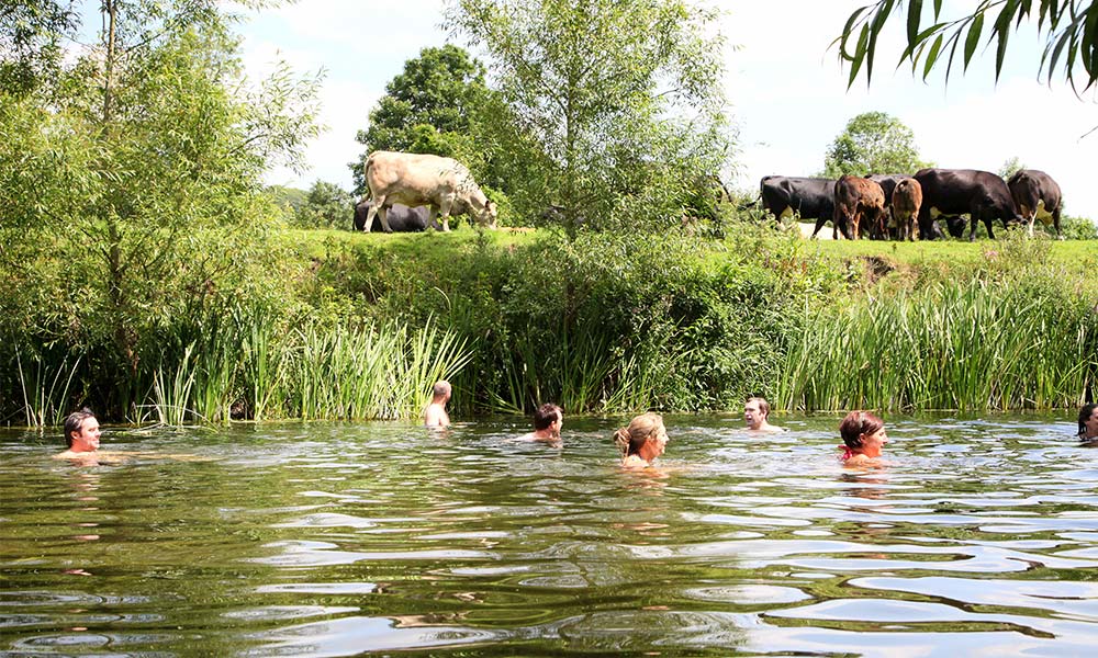 Wild swimming at Shalford and Guidford, River Wey, Surrey