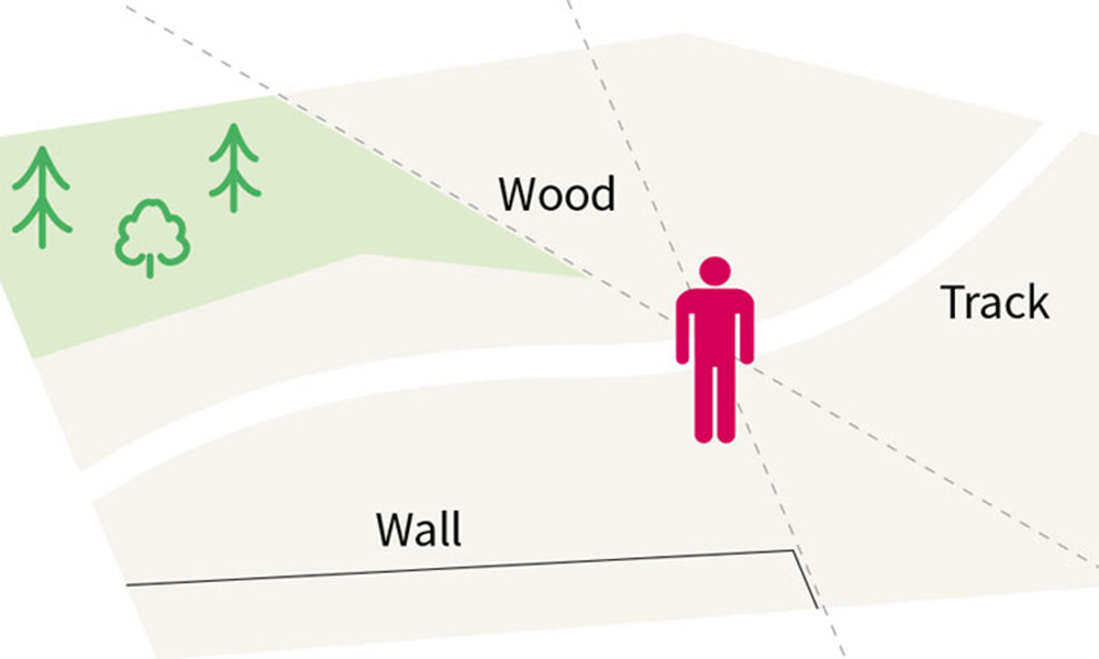 Using several transit lines to pinpoint your location