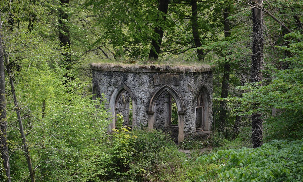 Hackfall woods&nbsp;