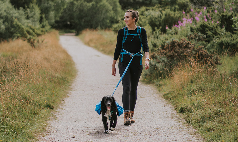 Ruffwear approach pack