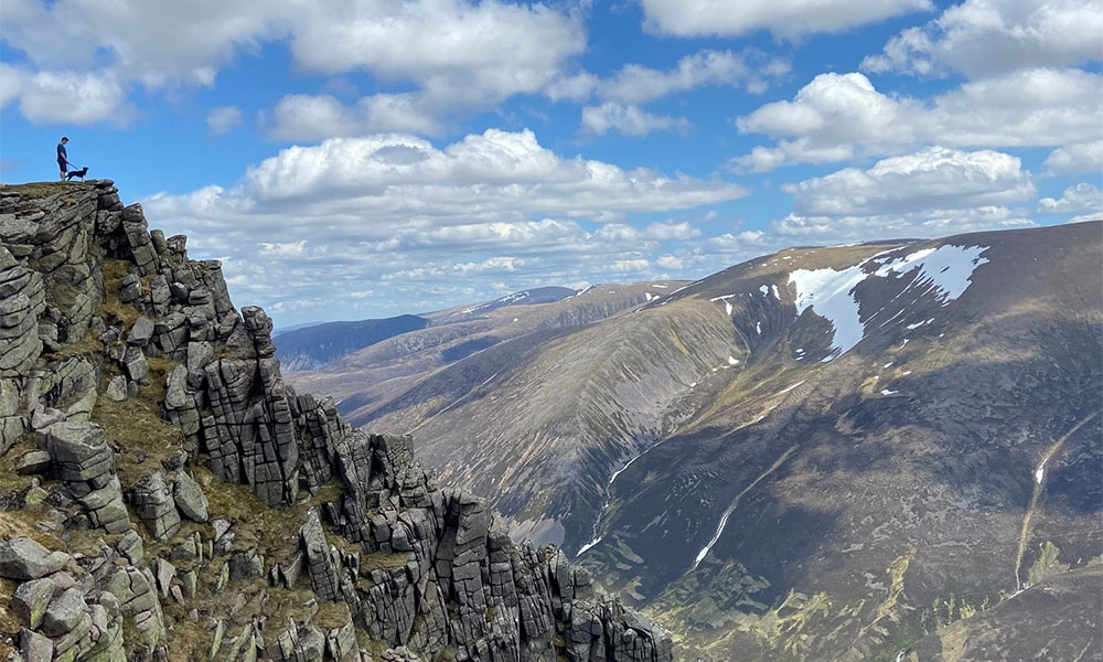 dog friendly climbing