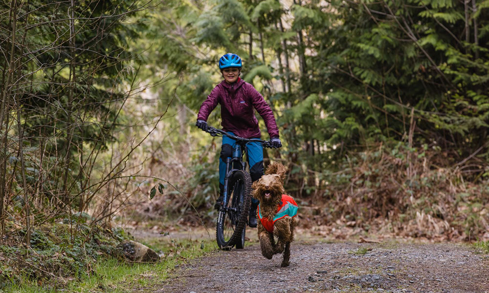 dog friendly mountain biking