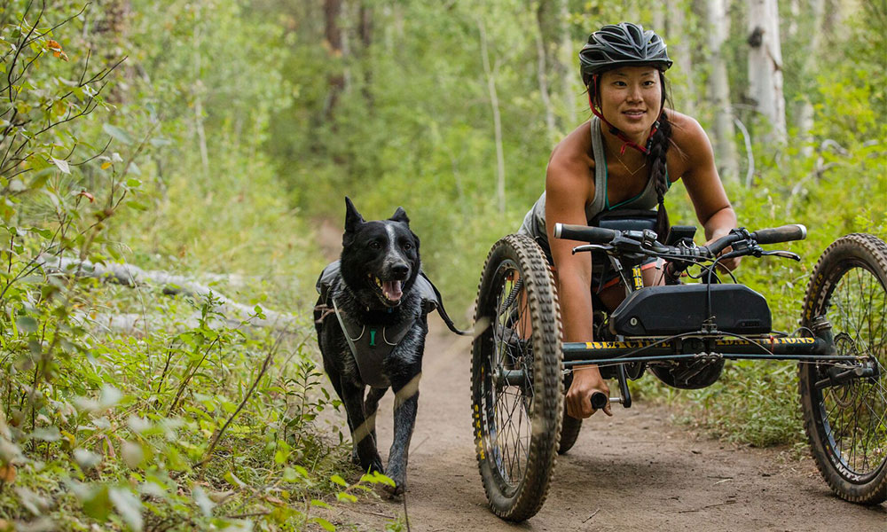 hand biking dog&nbsp;