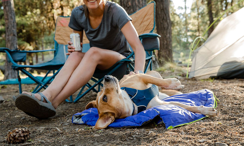 dog camping
