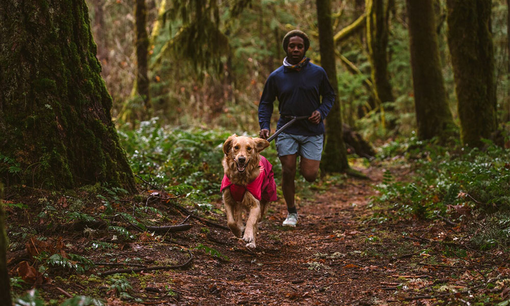 dog friendly adventures