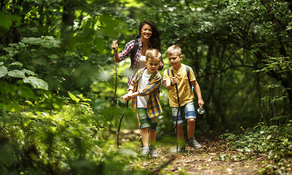 family walking in woods