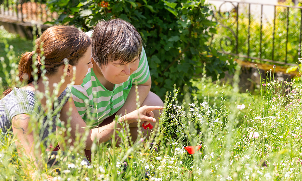 looking at flowers