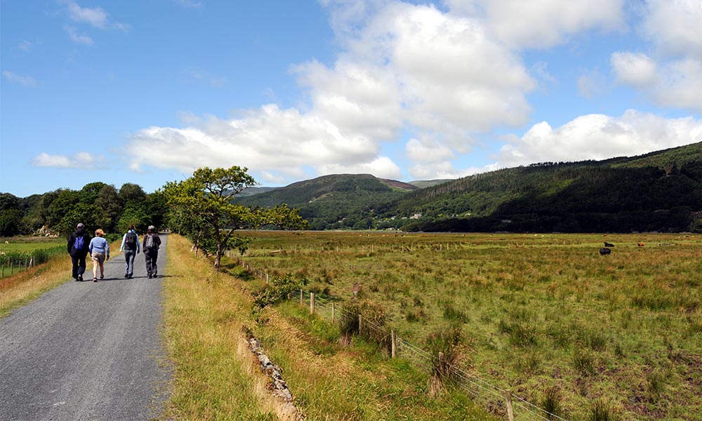 The Mawddach Trail