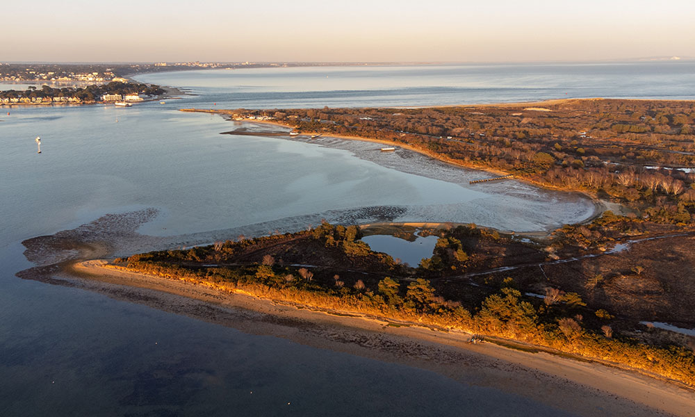 Bramblebush Bay&nbsp;