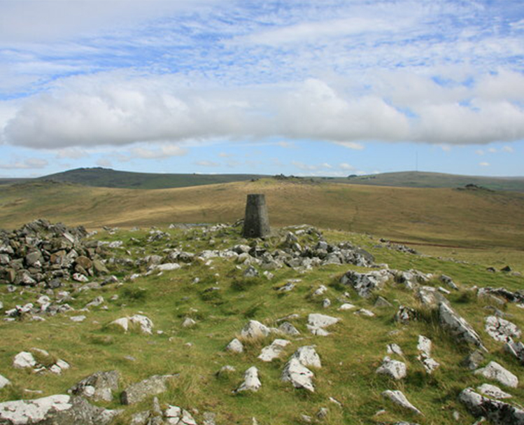 Cox Tor trig