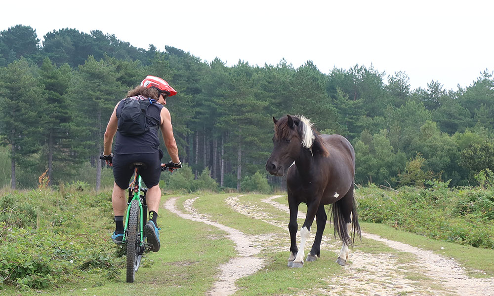 Jurassic Gravel route