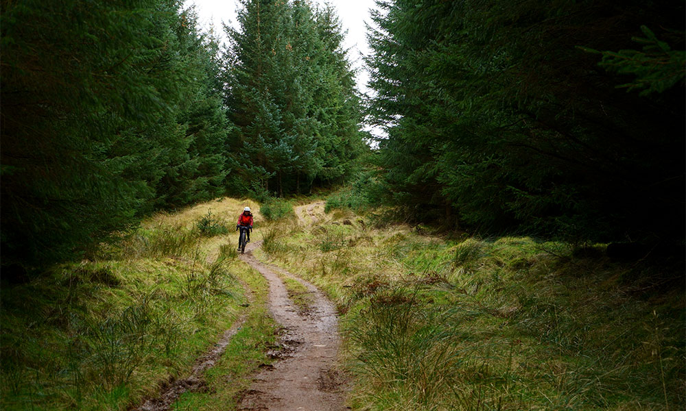 Tweed Valley gravel route